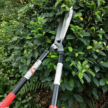 Tijeras de jardinería de alta calidad - Tijeras telescópicas con mango largo que ahorran trabajo, con agarre ergonómico antideslizante para césped, árboles frutales, hierba y ramas altas - Hojas de acero aleado duraderas, tijeras de poda para jardín, her
