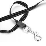 Correa Retráctil 5M Para Mascotas Resistente 14Kg Perro Gato 1419559