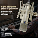 Microfono Condensador U87 XLR, Micrófono Profesional Cardioide para Grabación, Podcasting, Doblaje y Transmisión en Vivo – Incluye Fuente de Alimentación DC, Soporte y Cable de 250 cm / 98.43 Pulgadas