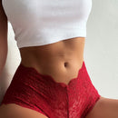 Lenceria De Encaje Floral Con Borde De Concha Panty