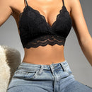 Lenceria De Encaje Floral Con Ribetes De Borde De Concha Bralette