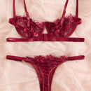 Conjunto De 2 Piezas De Ropa Interior De Encaje Para Mujeres (con Varilla)