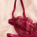 Conjunto De 2 Piezas De Ropa Interior De Encaje Para Mujeres (con Varilla)