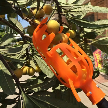 1pc, Cesta Para La Cabeza Del Recolector De Frutas (poste No Incluido) Herramienta De Recolección De Frutas De Plástico Colector De Recolección De Frutas De Jardinería Cosechadora De Bayas De Gran Altitud Dropship