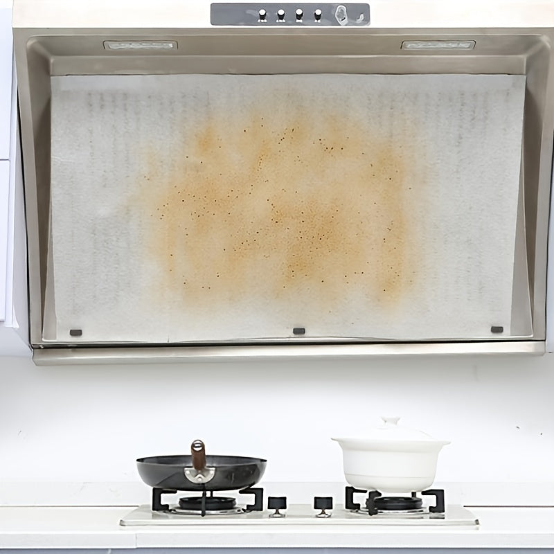 2/12pcs Membrete de filtro de campana extractora de aceite - Mantén tu cocina limpia y sin olores