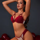 Conjunto De Lenceria De Malla Con Parches Para Mujeres