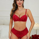 Conjunto De Ropa Interior Para Mujer De Brasier Con Encaje Floral Con Aros Y Calzoncillos Triangulares