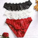 3 Piezas Ropa Interior De Encaje Sexy Para Mujeres