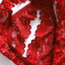 3 Piezas Ropa Interior De Encaje Sexy Para Mujeres