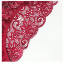 5 Piezas/set Ropa Interior Femenina Sexy Triangular Con Encaje Hueco Y Cintura Media Alta
