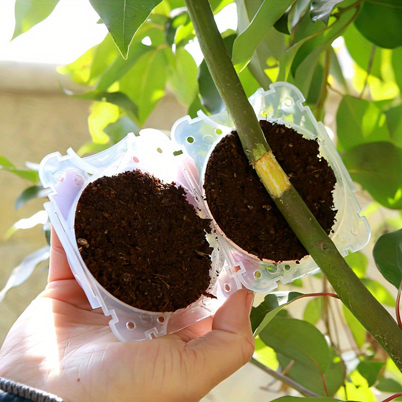 10 piezas de Cajas de Propagación de Alta Presión - Propagadores Manuales de Plástico Duradero para Injerto y Enraizamiento con Agujeros de Ventilación, Sin Necesidad de Electricidad para Esquejes, Ramas, Jardinería y Propagación de Árboles, Herramientas