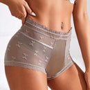 4 piezas Sexy Encaje Edge Malla transparente de cintura alta Triangulo Panties