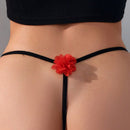 Tanga De Encaje De Malla Decorada Con Flores 3d Para Mujer