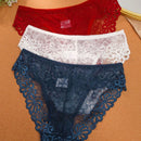 Conjunto De 3 Piezas De Panties Triangulares De Encaje Para Mujeres