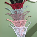 6 piezas de tangas sexys para mujeres, todas en encaje comodo y transpirable