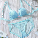 Conjunto de ropa interior de malla transparente para mujer con detalles decorativos de lazo