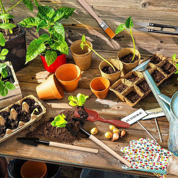 13PCS Mini Juego de Herramientas de Mano para Jardín - Kit de Pala de Trasplante de Metal y Madera con Bolsa de Tela para Plantar Bonsáis al Aire Libre - Uso Manual sin Electricidad