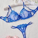 NEW Conjunto de sujetador y panty de malla transparente bordado y sexy para damas, con aro de soporte, 2 piezas
