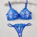 NEW Conjunto de sujetador y panty de malla transparente bordado y sexy para damas, con aro de soporte, 2 piezas