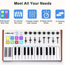 1pc Tuna Mini Teclado MIDI de 25 teclas, alimentado por USB, 8 pads de batería con iluminación RGB, 8 perillas asignables, portátil para producción musical, actuación, composición - Negro