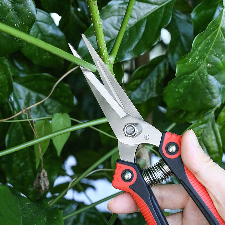 2pcs Tijeras de Jardín para Frutas Tijeras de Recogida de Frutas Tijeras de Poda Tijeras de Uva Tijeras para Frutas y Verduras Tijeras para Ramas Gruesas de Árboles Frutales Uso Doméstico Tijeras de Jardinería para Ahorrar Trabajo Tijeras de Poda de Rama