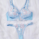 Conjunto de sostenes y panties bordados con aros, transparentes y de moda para mujeres, 2 piezas