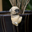 1 pza Escultura de Perro Pug de Resina de 4.7, Figura de Dibujos Animados, Decoración Versátil para Interiores y Exteriores, Encanto de Jardín de Pascua, Acento para Patio, Adorno de Césped y Realzador de Ambiente para Macetas