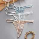 Set de 3 piezas de pantis de encaje transparente con diseno de lazo sexy para mujer