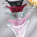 Set de 5 tangas sexy de mujer de cintura baja y unicolor con encaje floral, lenceria para damas
