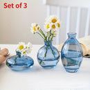 Conjunto de 3 jarrones de vidrio modernos, jarrón redondo decorativo transparente para hidroponía y flores secas, trío de pequeños jarrones de vidrio de lujo creativos, elegante exhibición para la mesa.