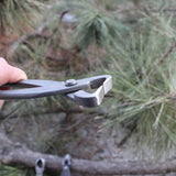 Alicates Profesionales para Podar Bonsái - Acero de Alto Carbono, Mango Ergonómico para Recorte Preciso de Raíces y Ramas, 210mm