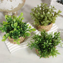 Juego de 3 Piezas de Plantas Artificiales de Eucalipto y Lavanda en Macetas - Decoraciones de Buxo Falso, Romero y Planta Dinero para el Hogar, Oficina y Jardín - Perfectas para Exhibición en Mesas, Fiestas y Decoración Estacional