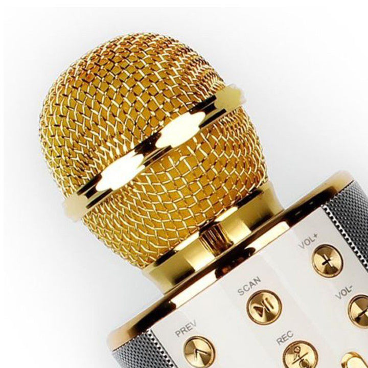 Micrófono Karaoke Bluetooth Parlantes Integrados para IOS y Android RF 858