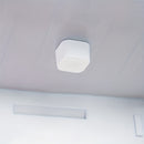 Conjunto de 6 Bolsas de Carbón para la Purificación del Aire - Absorbente y Ambientador de Olores con Carbón Activado para Nevera, Hogar y Cocina, Sin Necesidad de Electricidad, Frescura Duradera
