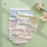 Set de 5 pantis sin costuras para mujer con diseno de nubes asimetrico y borde de cintura media