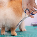 1pc Tijeras Profesionales para el Aseo de Mascotas, Tijeras Curvas de Acero Inoxidable con Punta Redonda de Seguridad, Ultra Afiladas de 19.05cm para Perros y Gatos, Diseño Manual en Forma de A para Recorte Preciso, Material Metálico Libre de Formaldehíd
