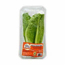 LECHUGA ROMANA VEGGIES 150G ECO BD