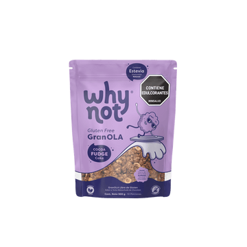 GRANOLA WHY NOT 300G TORTA DE CHOCOLATE