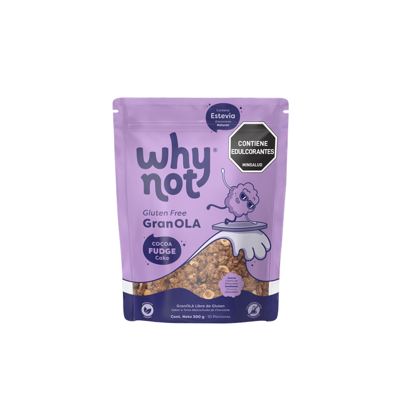 GRANOLA WHY NOT 300G TORTA DE CHOCOLATE