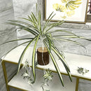 4pcs Grandes Orquídeas Artificiales Colgantes - Perfectas para el Hogar, Jardín, Oficina y Decoración de Bodas, Decoración Interior, Plantas Artificiales