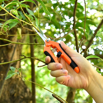 Juego de 2 Tijeras de Poda de Acero Inoxidable - Ambidiestras, Hoja Afilada para Bonsái, Árboles Frutales y Flores - Herramienta de Jardín Moderna