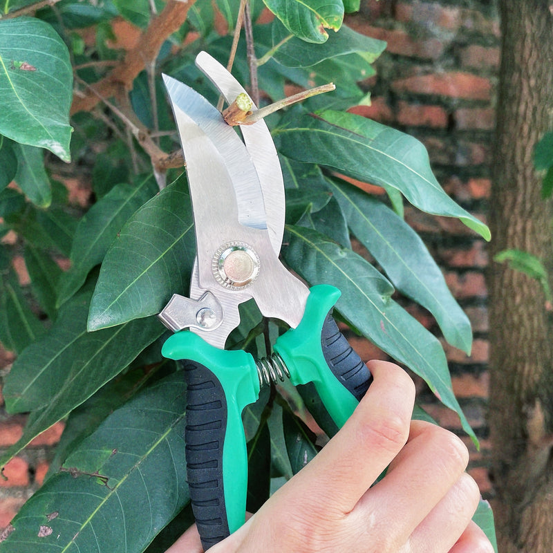 Tijeras de poda de ramas de frutas de acero inoxidable de varios colores, tijeras de jardín, podadores multifuncionales, herramientas de bonsái al aire libre para jardinería