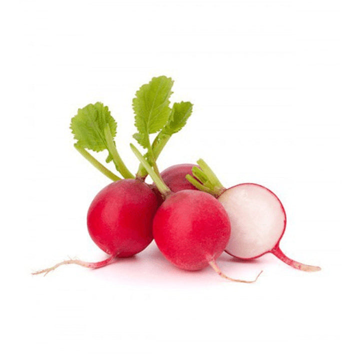 RABANO HORTIFRESCO 150G BANDEJA ROJO