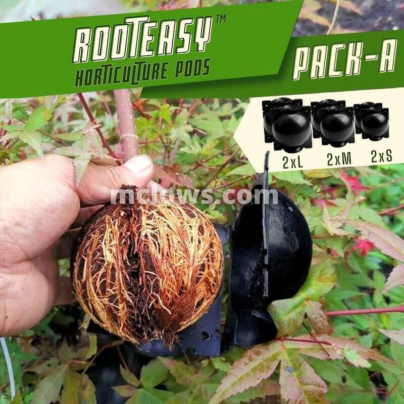 PACK 5 Unds RootEasy™️ - Cultiva plantas rápidamente