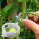 GrowGuard™ - 100 Unidades Clips de soporte para plantas