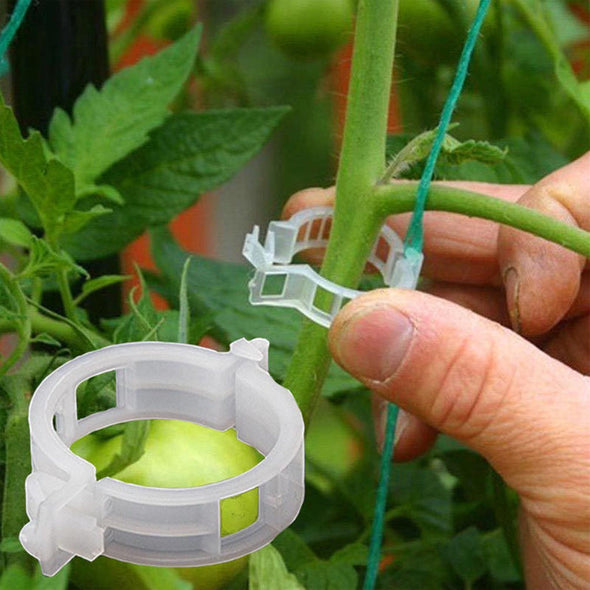 GrowGuard™ - 100 Unidades Clips de soporte para plantas