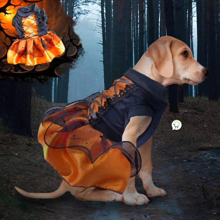 Disfraz Bruja Para Perro Gato Mascotas  Halloween GD01BRUJN