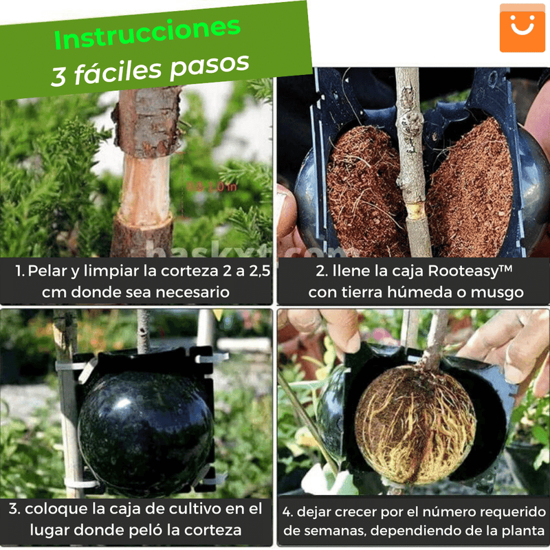 PACK 5 Unds RootEasy™️ - Cultiva plantas rápidamente