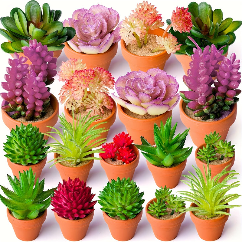 27 piezas de combinación de suculentas mini DIY, muebles de exhibición para cocina y sala de estar, decoración interior creativa al aire libre, bonsái, planta verde, primavera, otoño, Acción de Gracias, festival de cosecha (excluyendo contenedores)