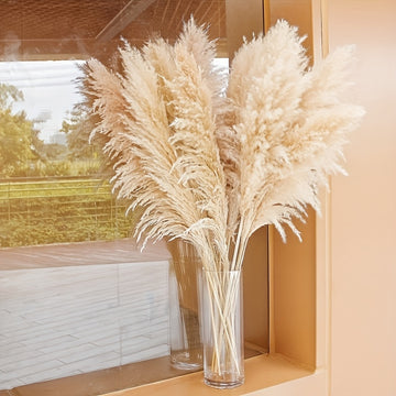 Pasto de las pampas natural de 10 ramas, 116.84 cm, decoración para bodas, fiestas, casas de campo y estilo bohemio
